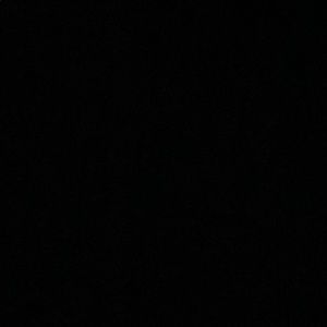 Meet your Posher, Griffin